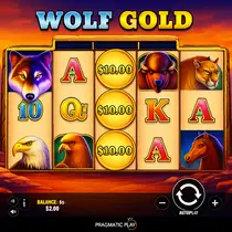 TikiTaka - Wolf Gold Slot Game - Pragmatic Play